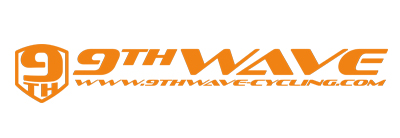 9th wave logo